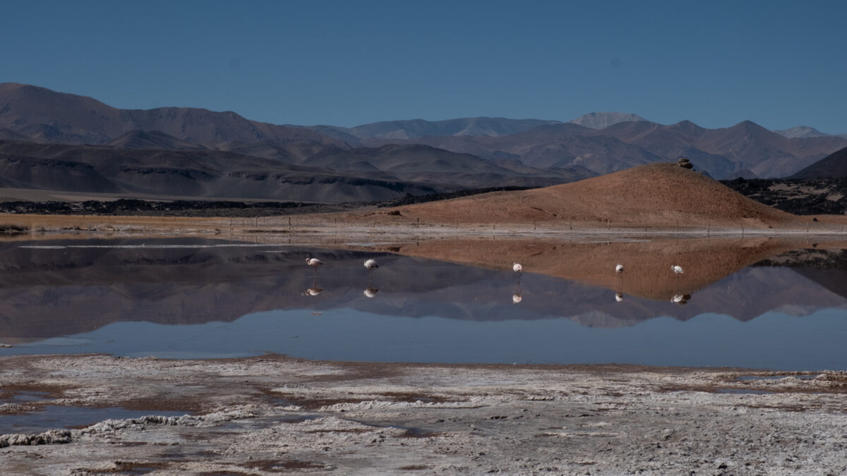 Foto: Simon Zamora Martin